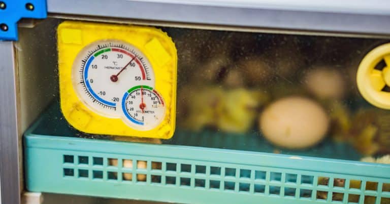 เทอร์โมมิเตอร์มีกี่ชนิด